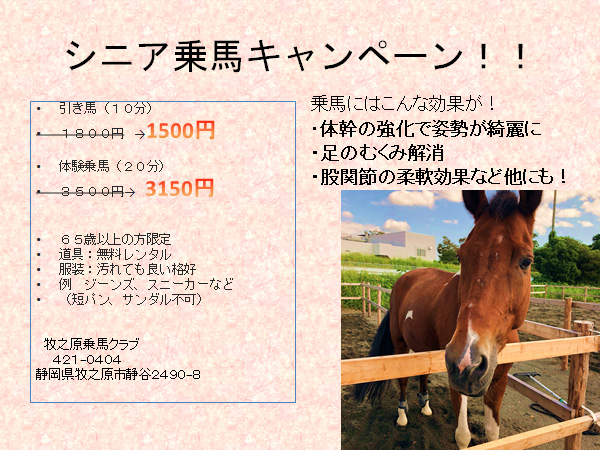 シニア乗馬キャンペーン！！