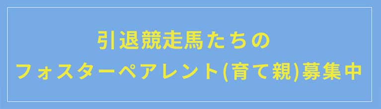 引退競走馬たちのフォースターペアレント（育て親）募集中